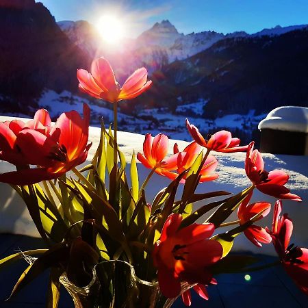 Alpenpension Maderer غاسشرن المظهر الخارجي الصورة