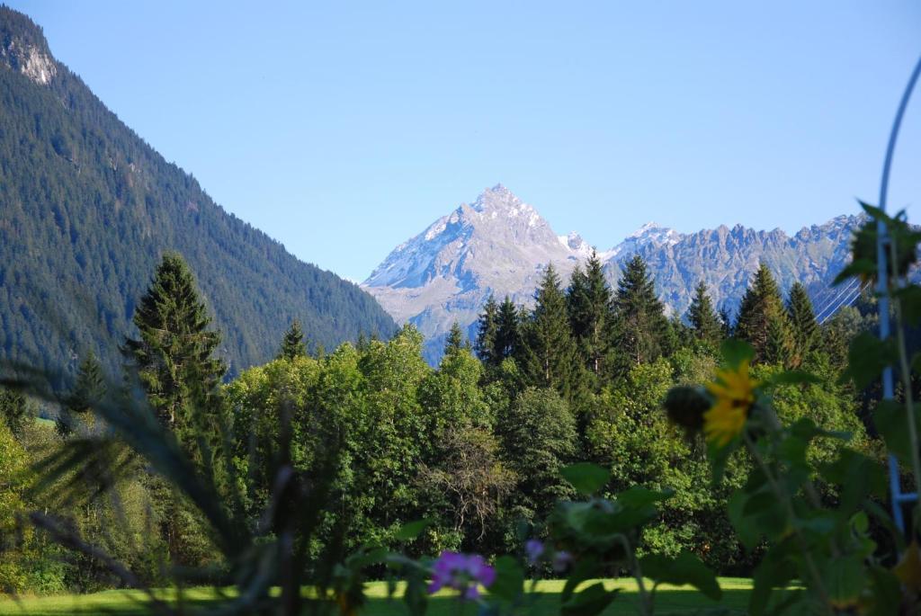 Alpenpension Maderer غاسشرن المظهر الخارجي الصورة