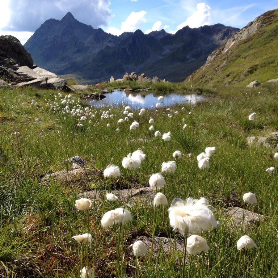 Alpenpension Maderer غاسشرن المظهر الخارجي الصورة