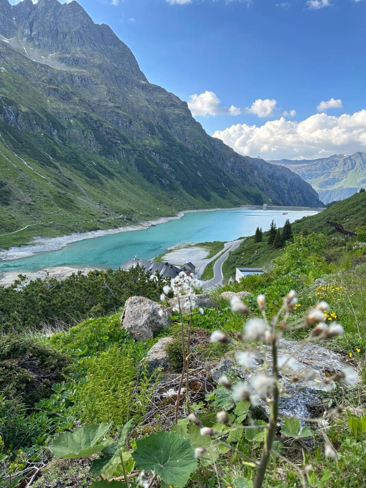 Alpenpension Maderer غاسشرن المظهر الخارجي الصورة