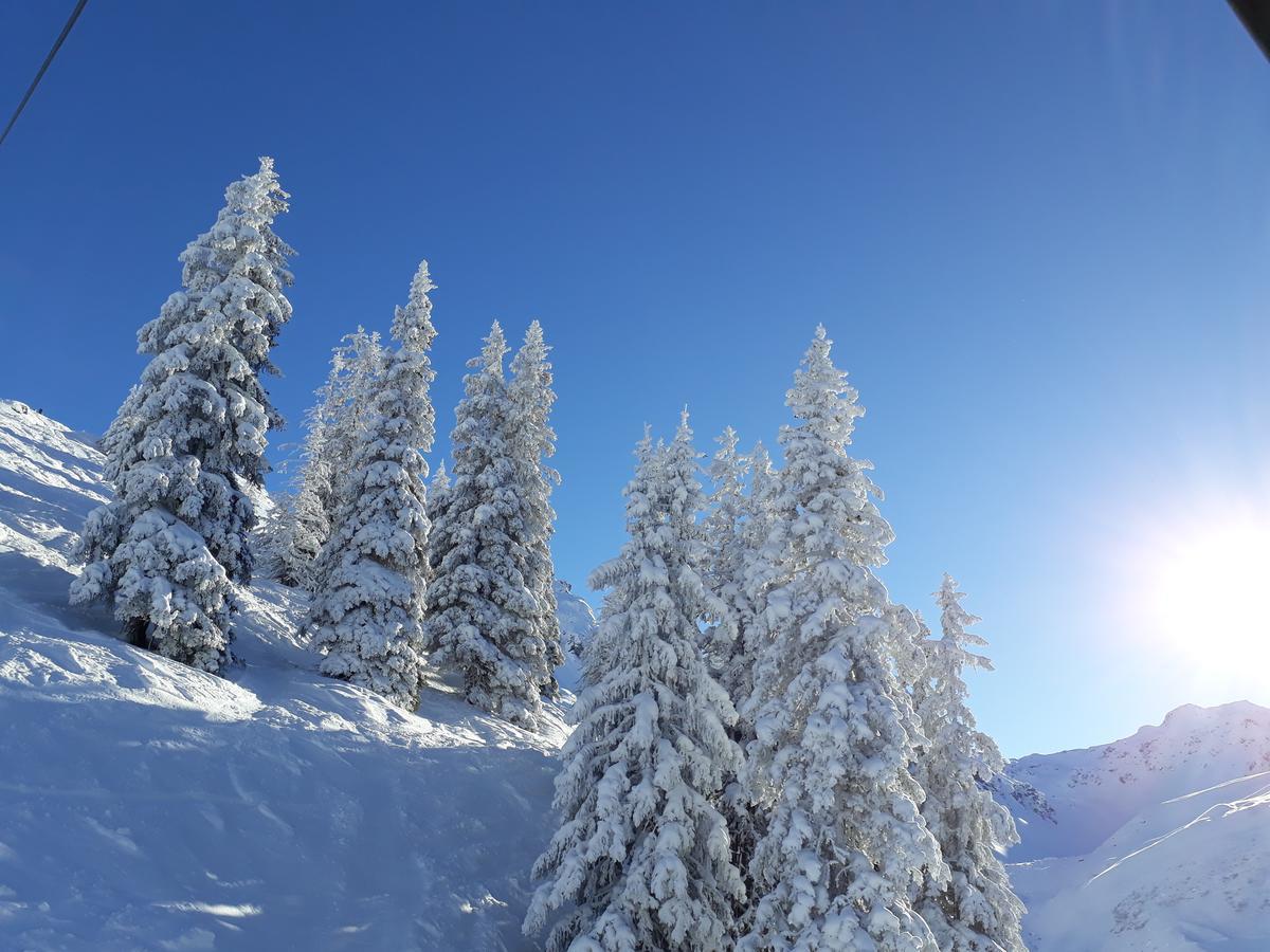 Alpenpension Maderer غاسشرن المظهر الخارجي الصورة